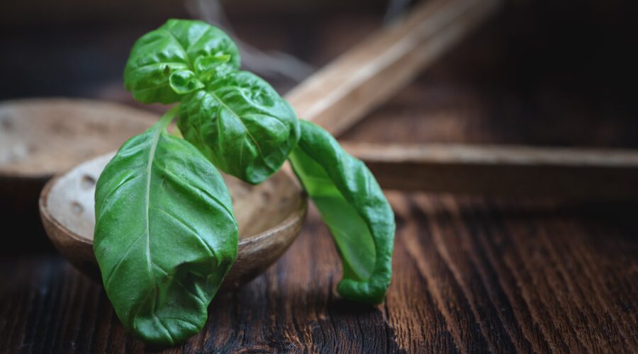 Čerstvé bylinky na pizzu – výběr těch nejlepších, které z Vaši pizzy udělají delikatesu